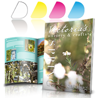 Revistas